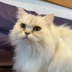 アンドゥへの支援物資に感謝しております
