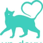 保護猫アンドゥ